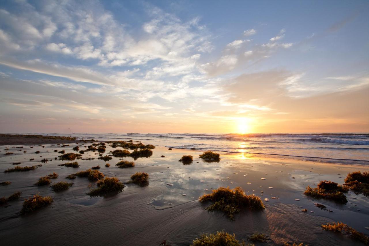 Island Serenity South Padre Island Buitenkant foto